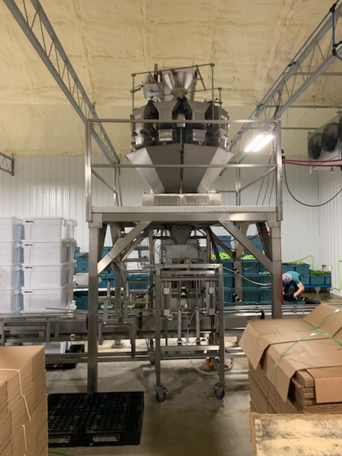Ohlson 10 Head Scale System w Conveyor & Mezzanine - Image 4