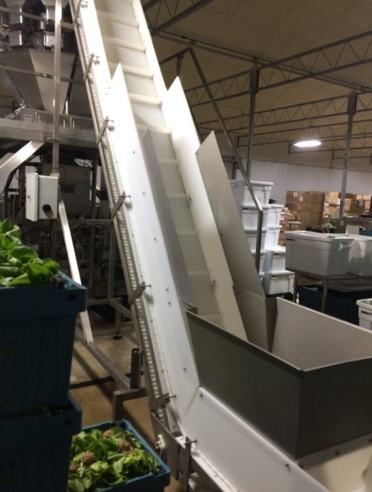 Ohlson 10 Head Scale System w Conveyor & Mezzanine - Image 7
