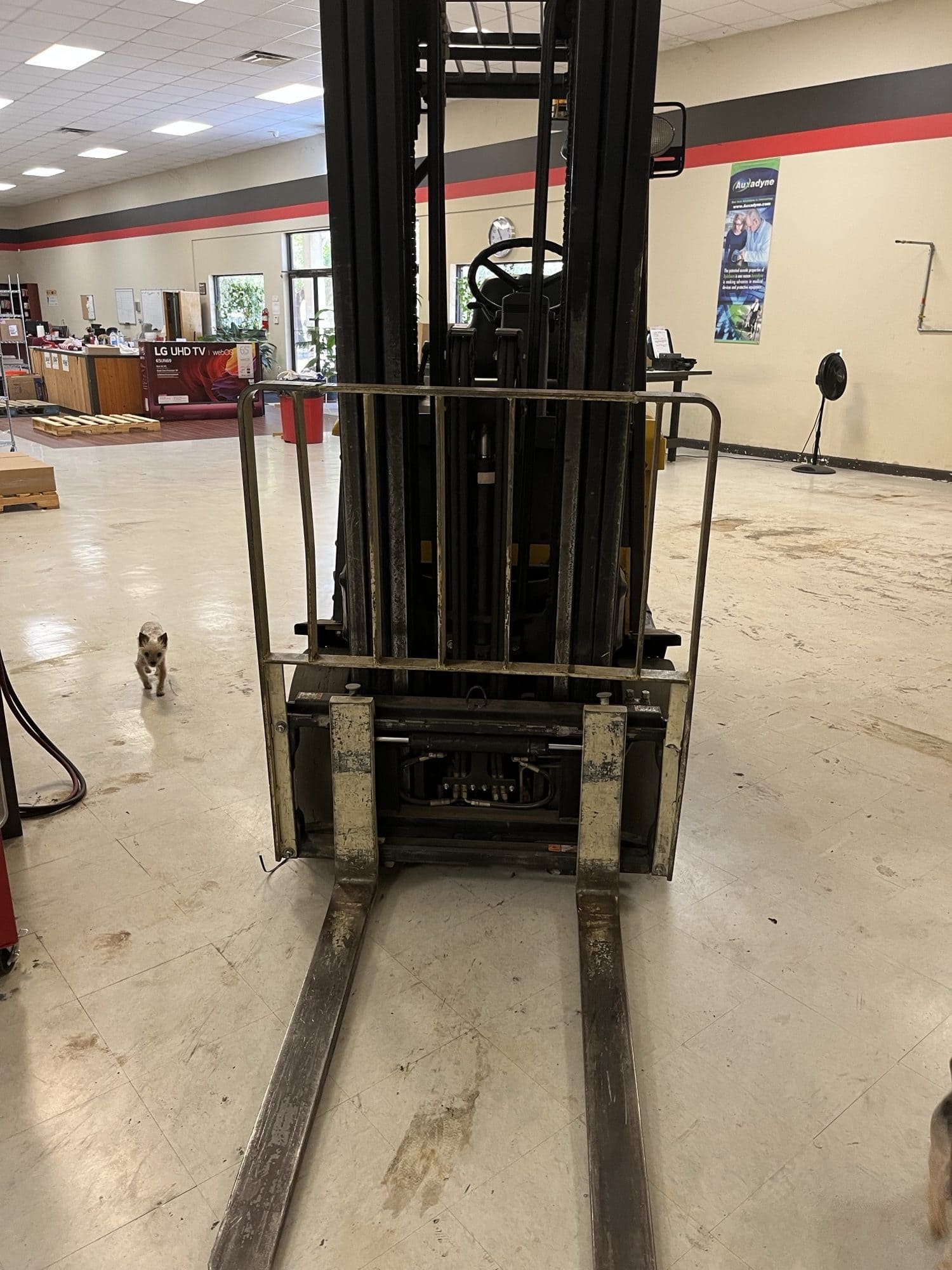 Yale ERC050GHN36TE088 5,000 Lb Electric Forklift, 2000s - Tilt and Sideshift, New Battery with Charger - Image 5