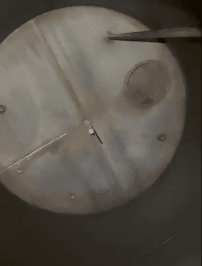 2055 Gallon Norm Stein Stainless Steel Tank - Image 4