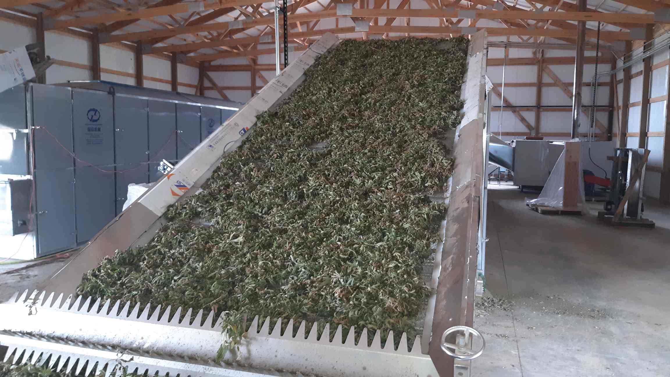 Guoxin GX-12-4 Automatic Induced Air Mesh Belt Drying Machine