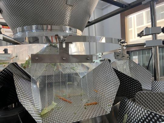 Vertek 1200 Vertical Form Fill and Seal