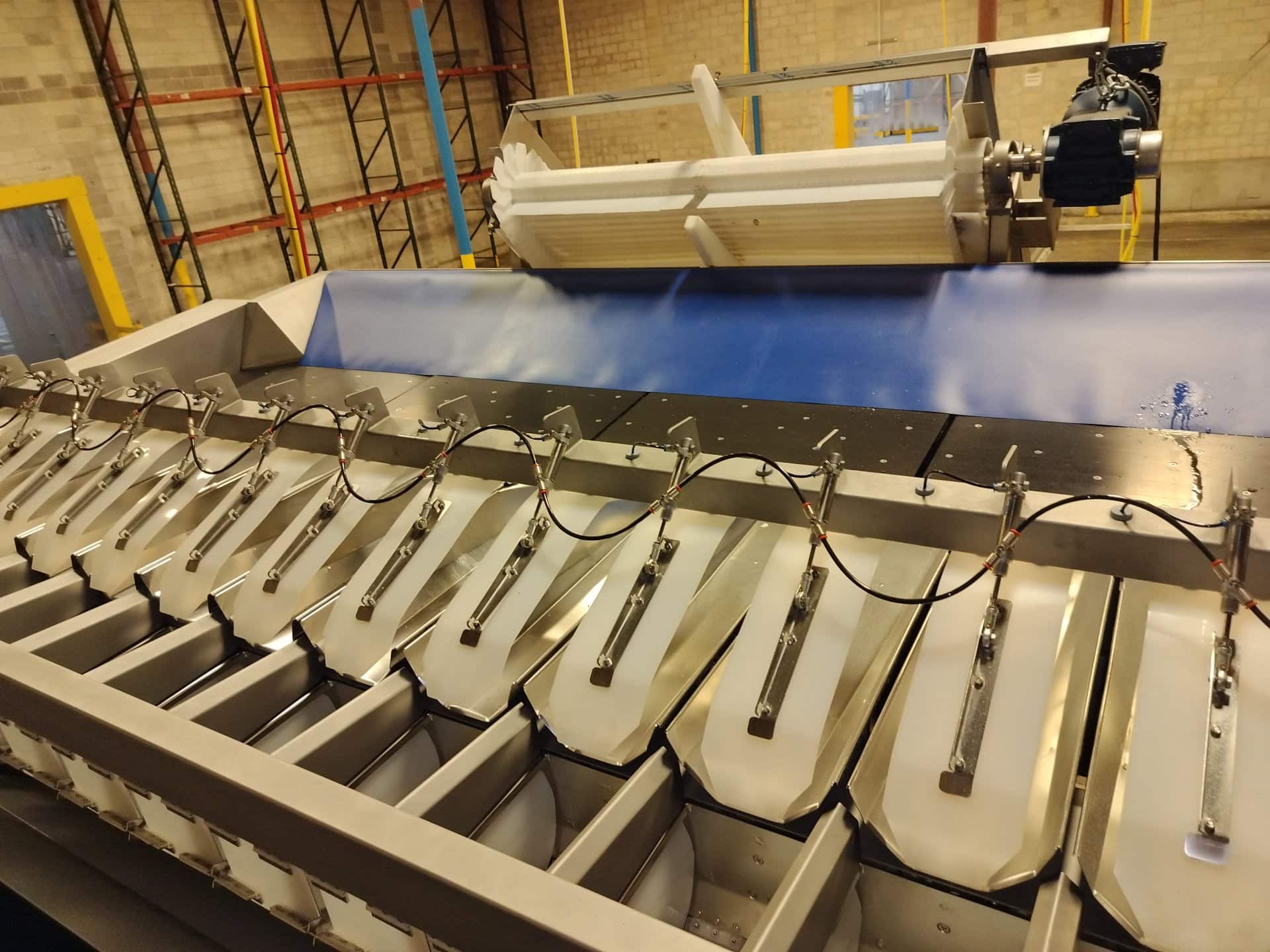 Daumar CB-148-RH D-Pack Bagging Machine, 2021 - NewTec 4014XB1 Weighing Machine Included, Like New. - Image 28
