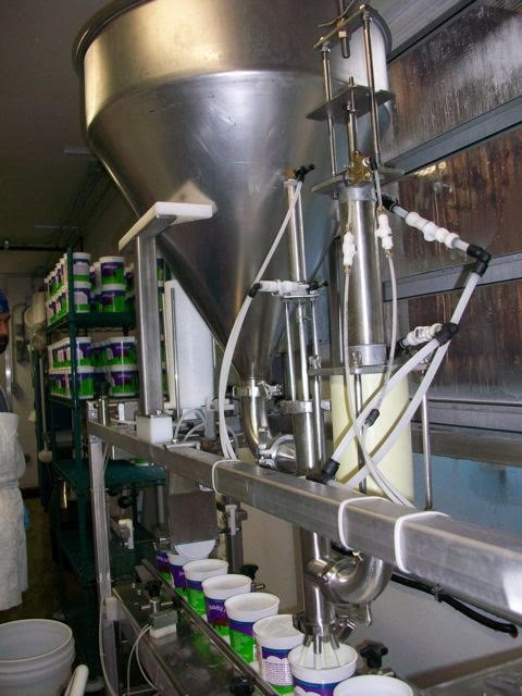 Tindall Model 772 Cultured Products Single Lane Filler - Production Ready! - Image 4