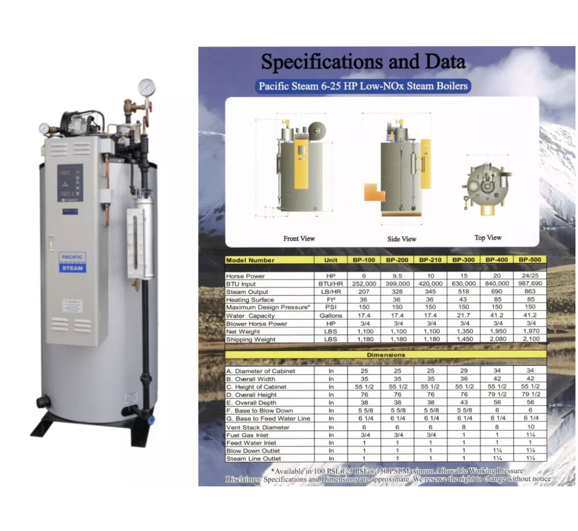 9.5 HP Pacific Steam Boiler Model BP-200 Natural Gas, 2021 - Image 2
