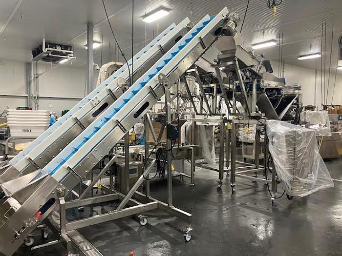 Complete System for Produce Filling Including (2) Weighpack Primolinear C-10 Two-Lane Linear Net Weighers with (2) Incline Infeed Conveyors and Floor Stands - Image 3