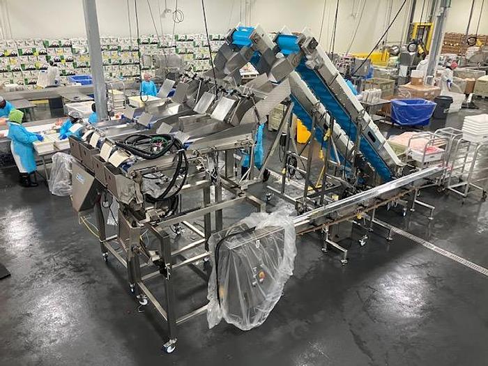 Complete System for Produce Filling Including (2) Weighpack Primolinear C-10 Two-Lane Linear Net Weighers with (2) Incline Infeed Conveyors and Floor Stands - Image 4