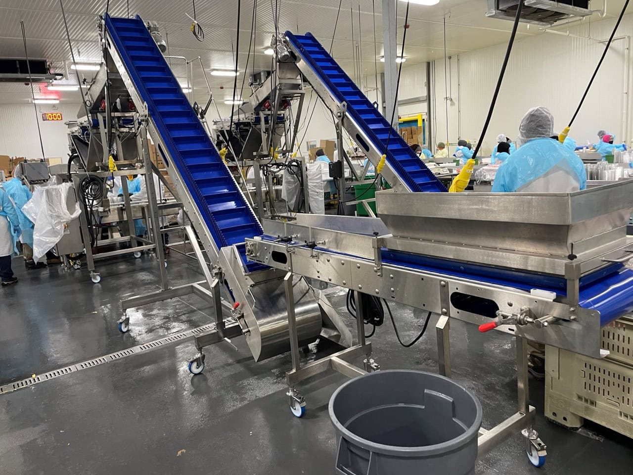 Complete System for Produce Filling Including (2) Weighpack Primolinear C-10 Two-Lane Linear Net Weighers with (2) Incline Infeed Conveyors and Floor Stands - Image 7