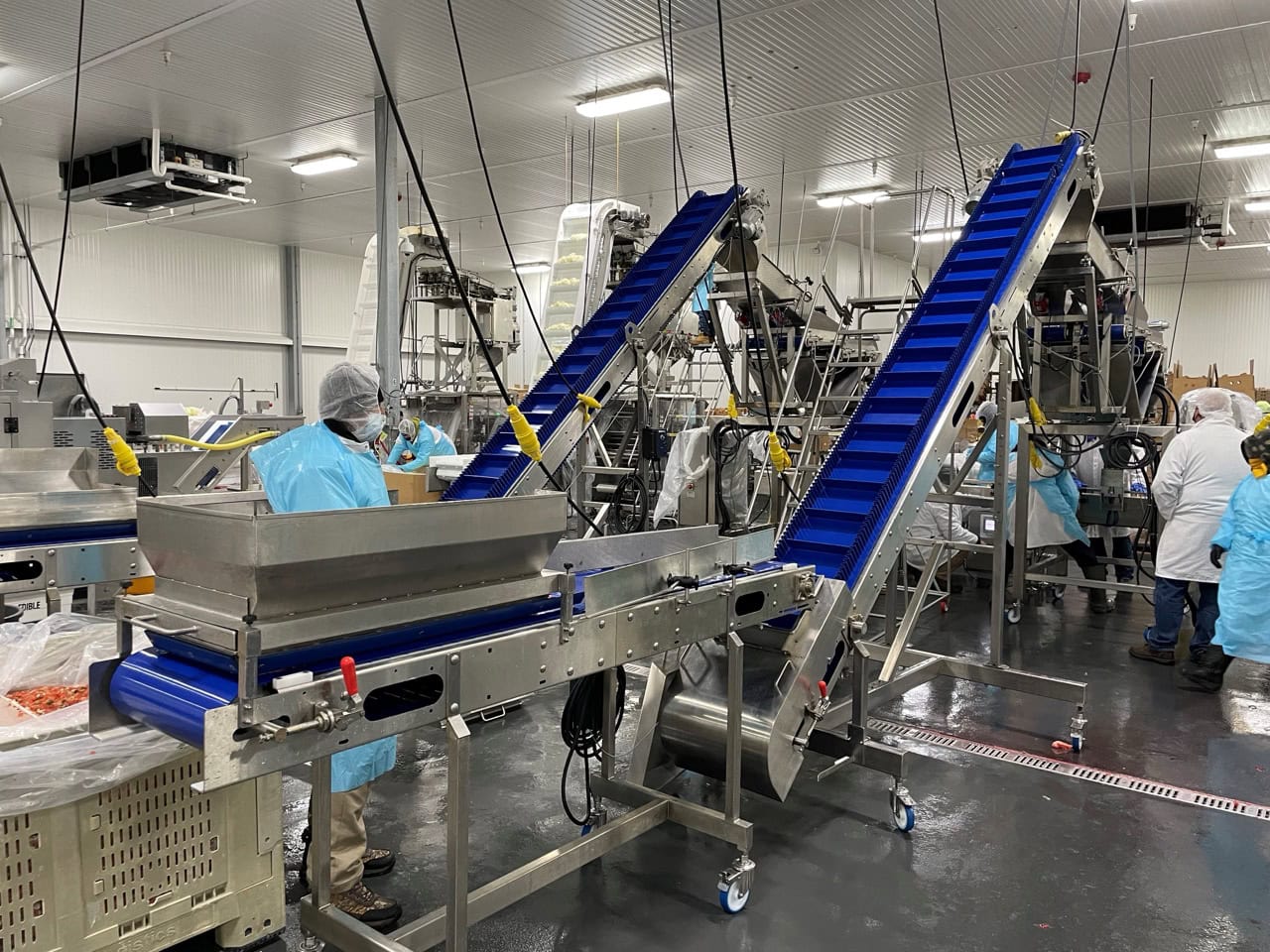Complete System for Produce Filling Including (2) Weighpack Primolinear C-10 Two-Lane Linear Net Weighers with (2) Incline Infeed Conveyors and Floor Stands - Image 8