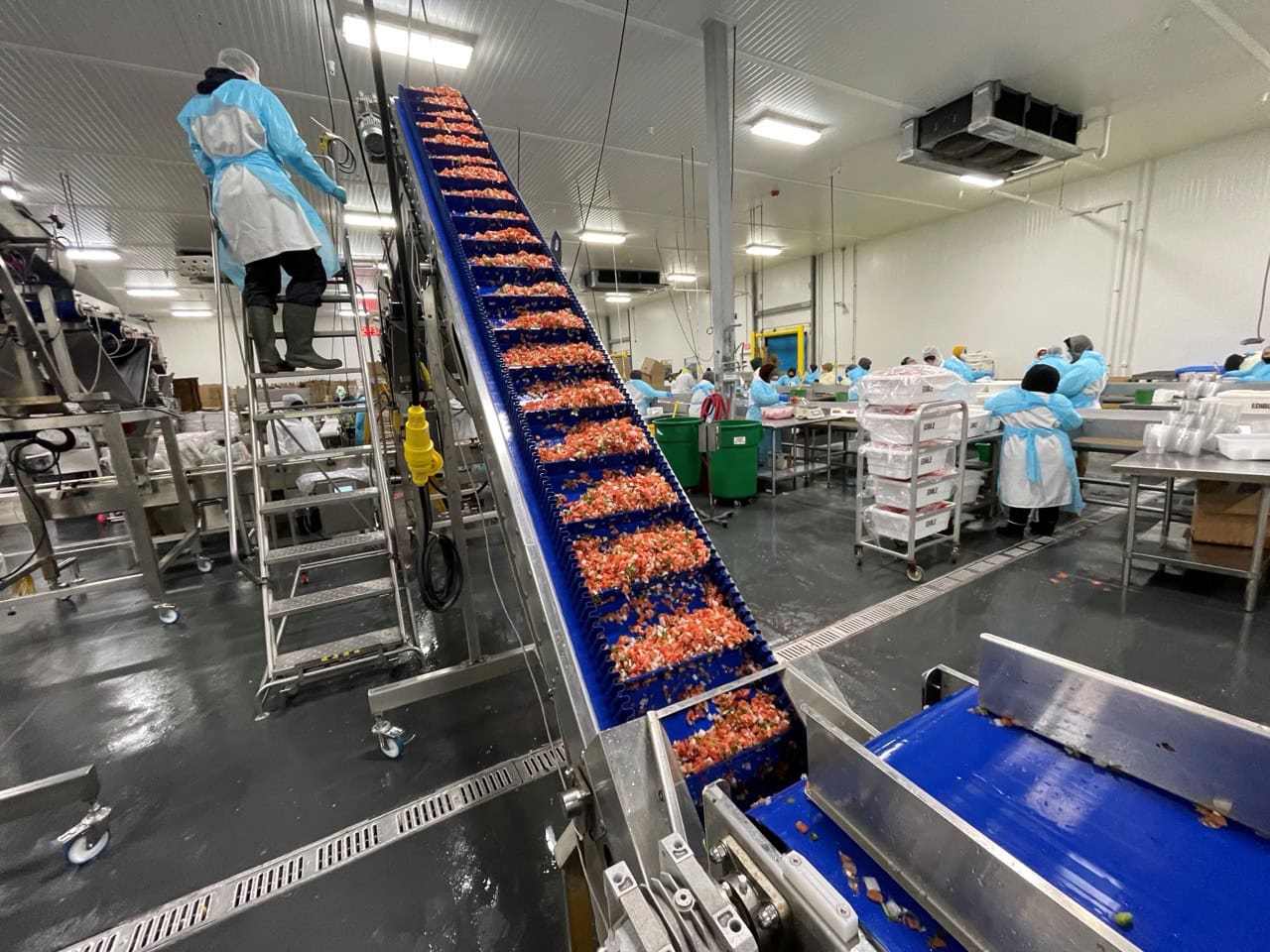 Complete System for Produce Filling Including (2) Weighpack Primolinear C-10 Two-Lane Linear Net Weighers with (2) Incline Infeed Conveyors and Floor Stands - Image 9