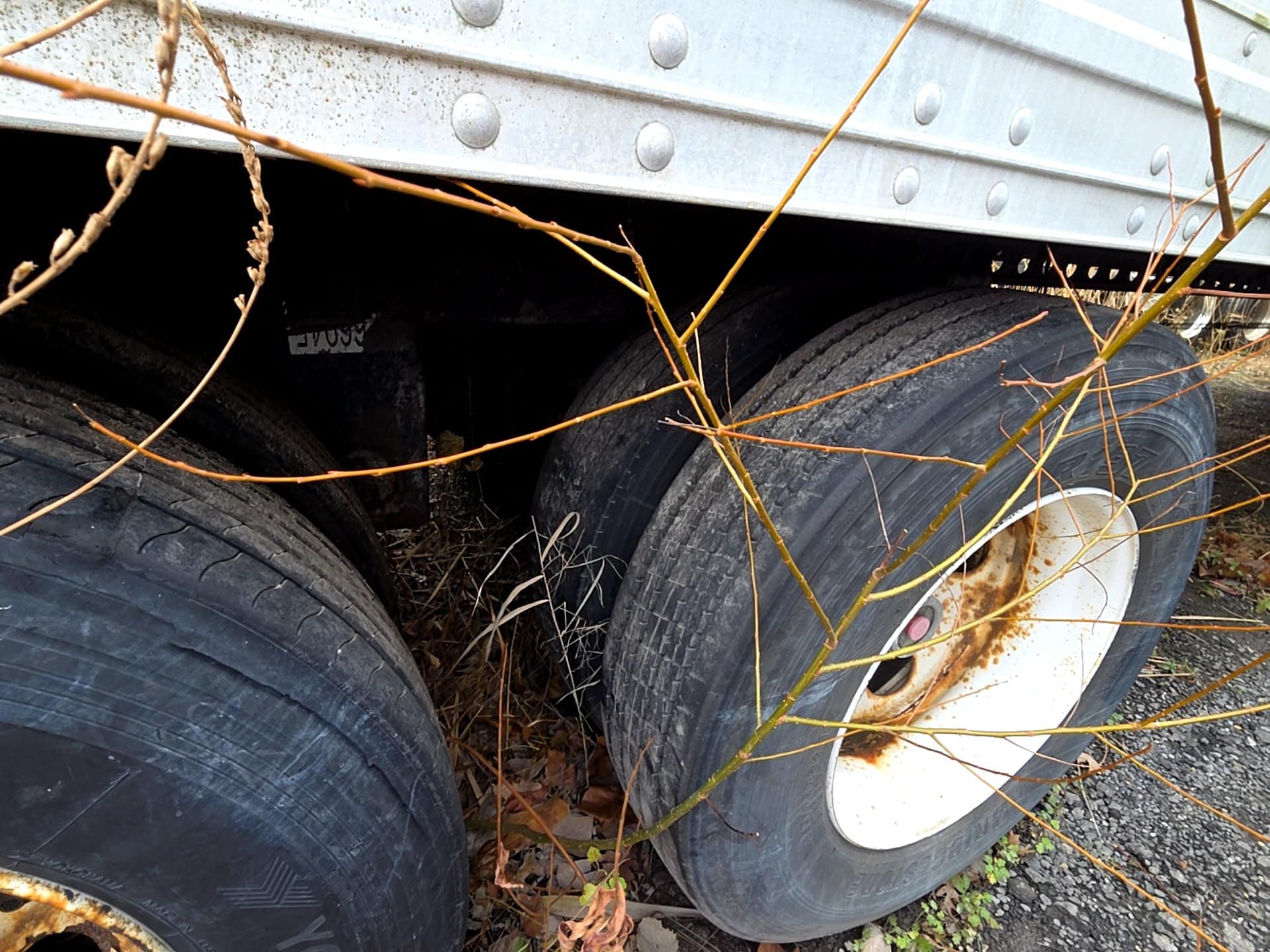 Hyundai Translead 53' Dry Van Trailer, 2007 - Swing Door - Image 4