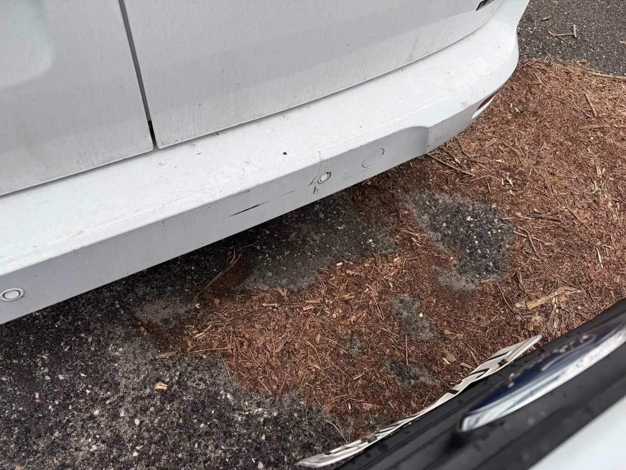 Ford Transit Connect Cargo Van, 2023 - 2.0L, LWB, Rear 180° Doors, Backup Camera - Image 6